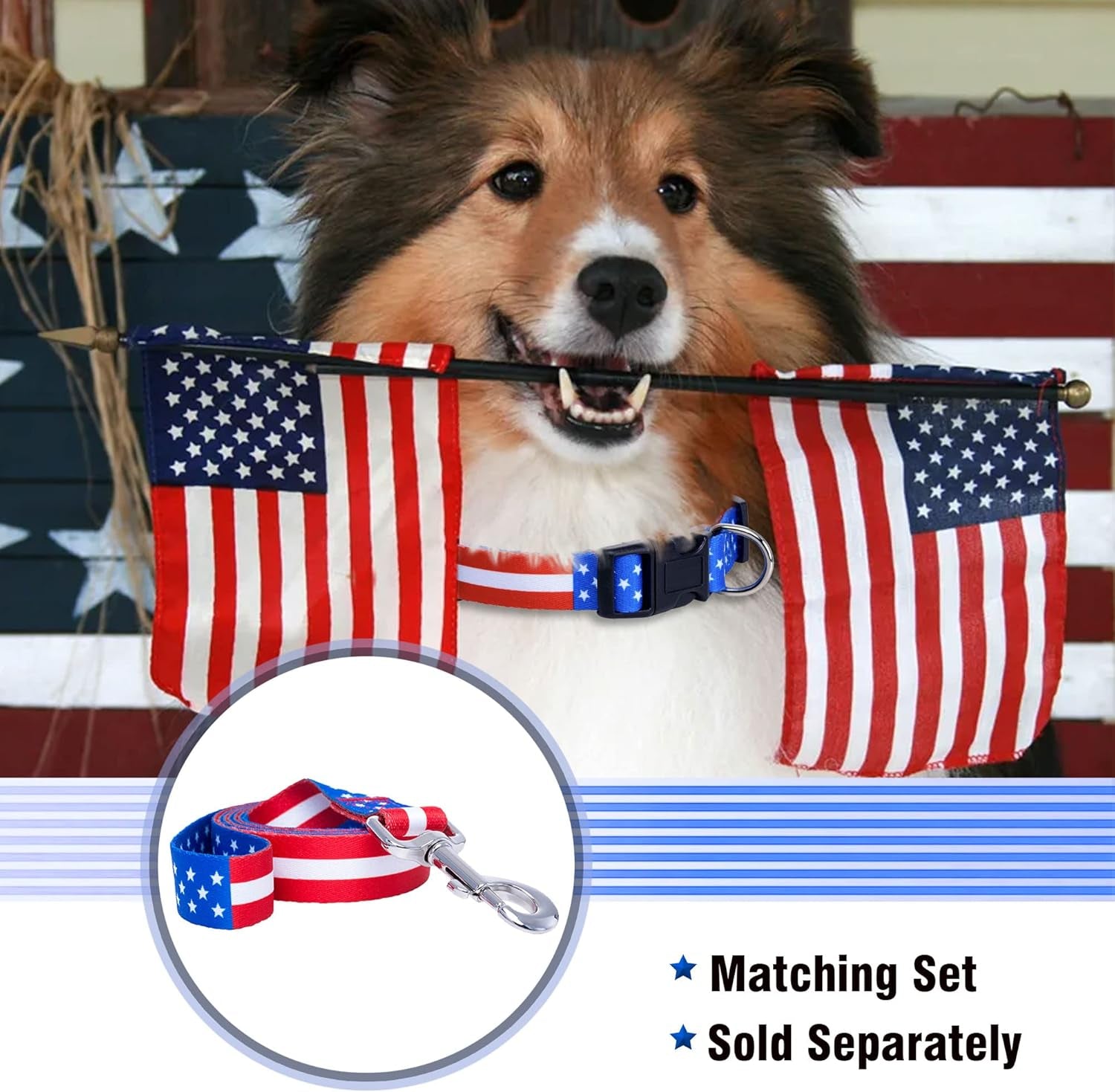 American Flag Dog Collar- Red White and Blue- Patriotic Collars for 4Th of July, USA- Adjustable Small, Medium, Large Breed Dogs (Medium, Flag I)